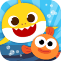 Baby Shark Adventure