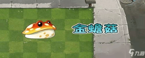 《植物僵2》怎么获得金蟾菇 金蟾菇获得途径分享