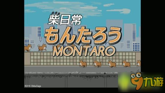 柴犬夢太郎Montaro the Shiba Inu新手攻略大全