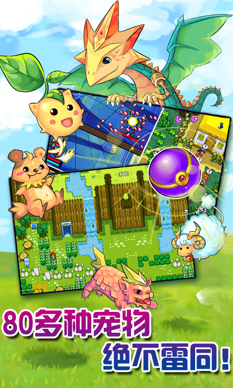 (白金)_口袋妖怪(白金)官网_攻略_安卓版ios版下载_礼包_九游手机游戏