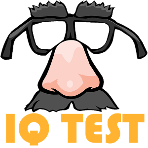 中兴cn780 iq test what's.游戏汉化