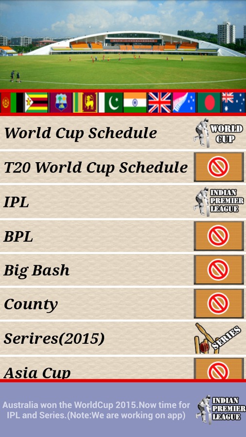 世界杯赛程2015年好玩吗？世界杯赛程2015年游戏介绍