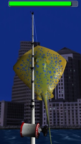 钓鱼大赛晚间版(Big Night Fishing 3D Lite)好玩吗？钓鱼大赛晚间版(Big Night Fishing 3D Lite)游戏介绍
