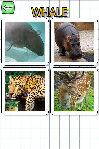 動物用英语好玩吗？動物用英语游戏介绍