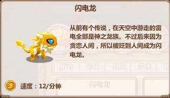 闪电系龙宝资料介绍