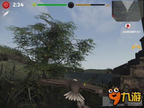 模拟游戏《追捕和猎杀》：在天空霸主面前让你无处可躲