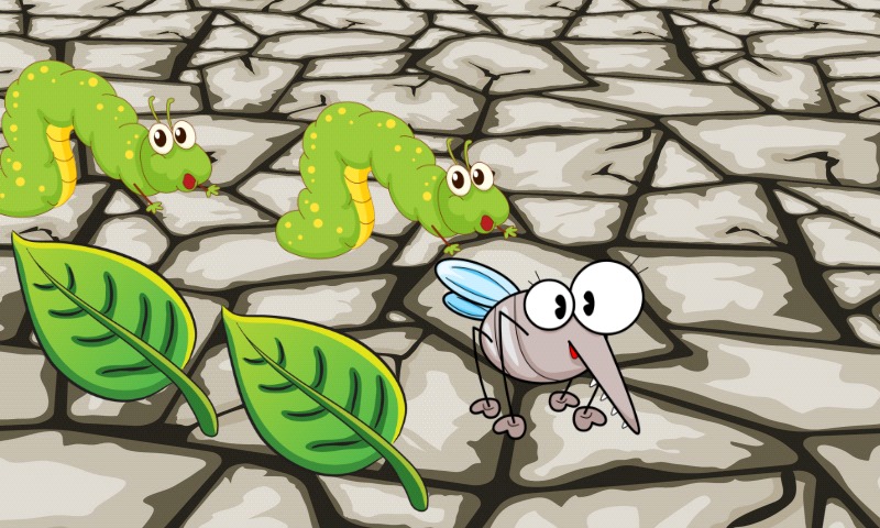 昆虫和蠕虫游戏的孩子探索昆虫世界好玩吗？怎么玩？昆虫和蠕虫游戏的孩子探索昆虫世界游戏介绍