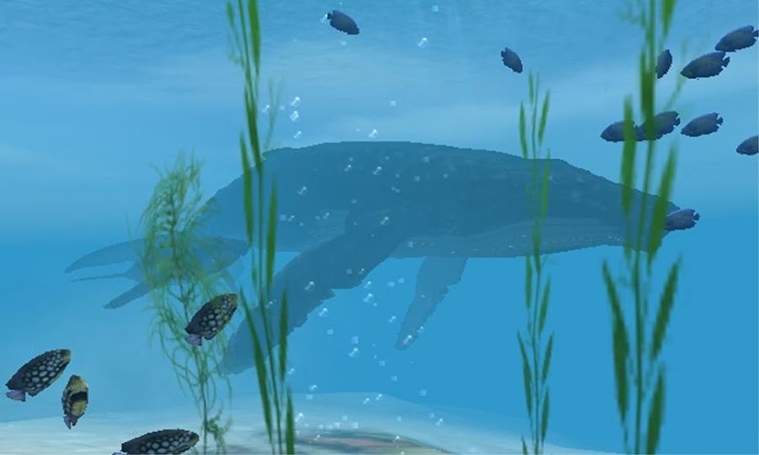 鲨鱼VR好玩吗？鲨鱼VR游戏介绍