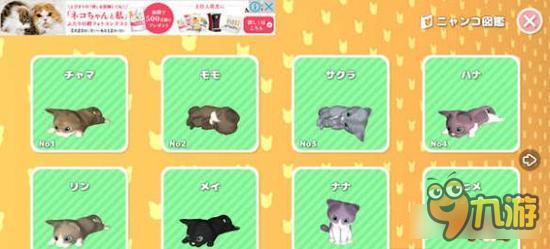 3D版收集猫猫 《猫咪收藏》上架双平台