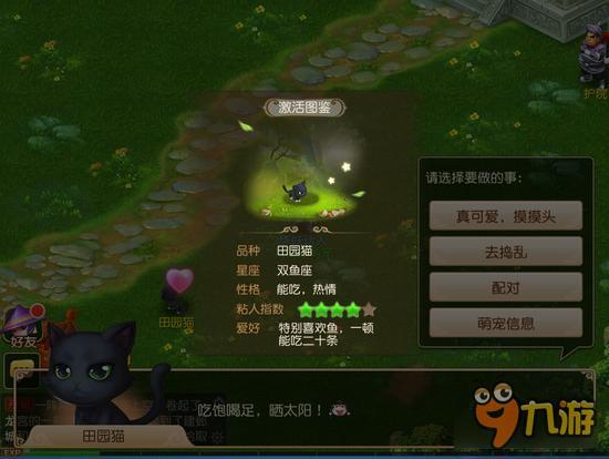 《梦幻西游》手游牧场系统欢乐上线