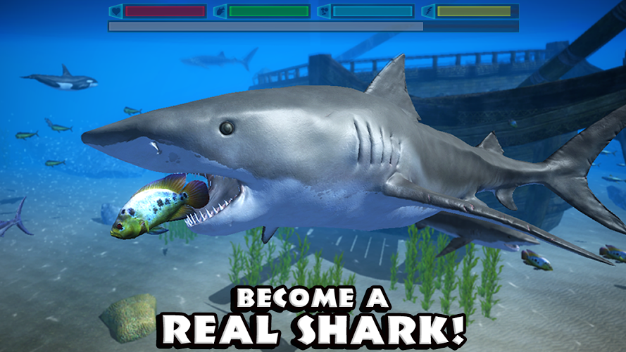 究极鲨鱼模拟好玩吗 究极鲨鱼模拟玩法简介