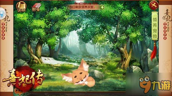 告别选择恐惧症 解读《熹妃传》五大灵宠