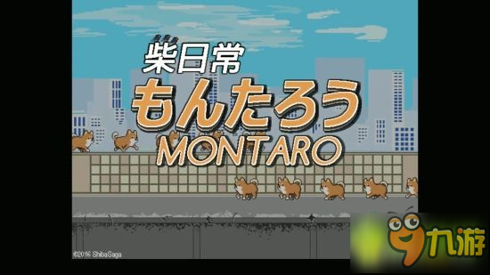 柴犬梦太郎Montaro the Shiba Inu新手攻略大全
