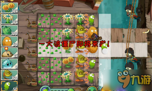 15643917.jpg