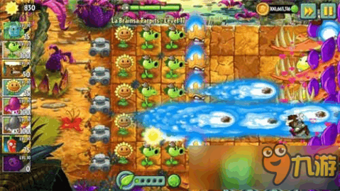 15661006_.jpg