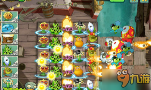 15733606.jpg