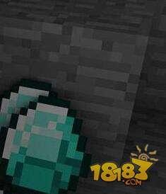 20561046.jpg