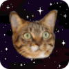 Cats In Space! Galactic Mice