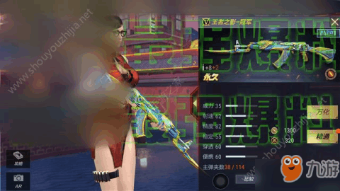48076288_.jpg