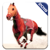 Angry Horse Racing 3D Simulator