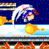 Runner Hedgehog Classic