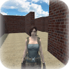 Aria in Maze Pro