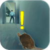 Rat Simulator Rat