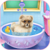 beautiful caring dog game