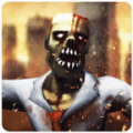 Resident Zombie Survival